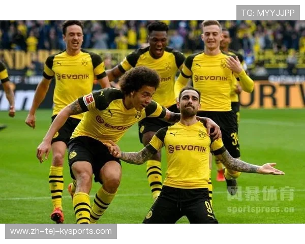 德甲球队背后派系分布与地区势力盘点