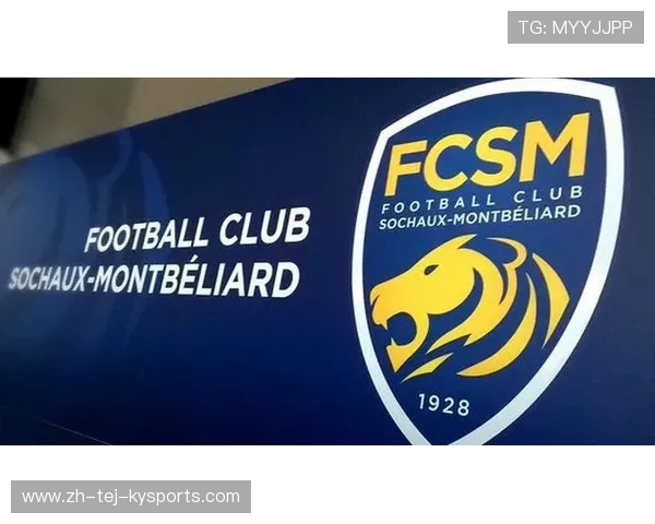 法甲外援市场发展趋势及其对联赛商业价值的贡献