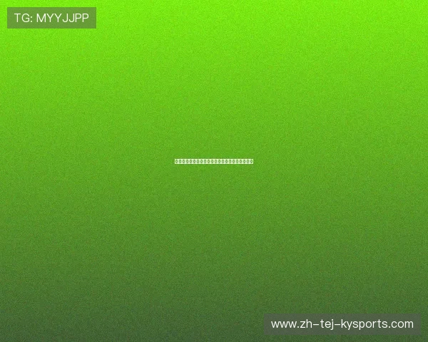 英超联赛中哪支球队的主场设在伯明翰？球队介绍